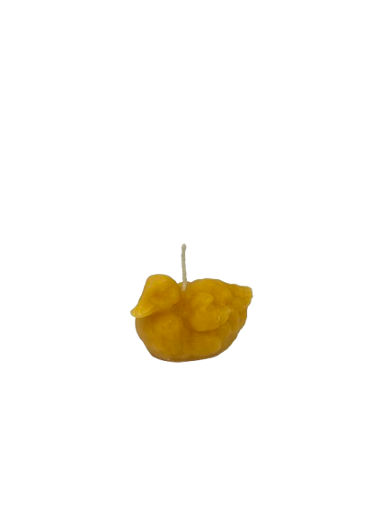 Svíčka ze včelího vosku - kachnička